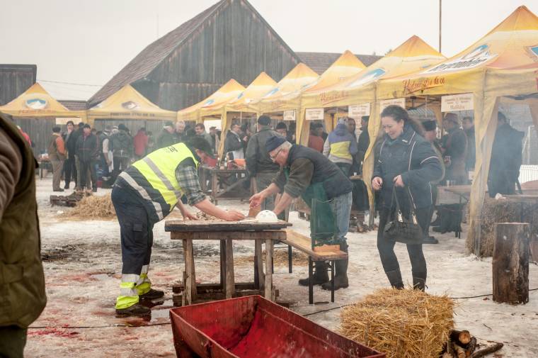 Német, magyar és székely hagyomány szerint vágtak disznót Csicsóban