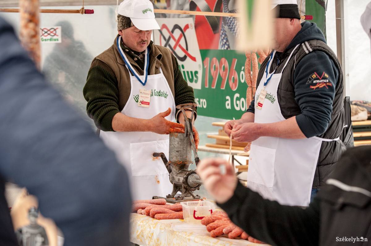 •  Fotó: Gecse Noémi