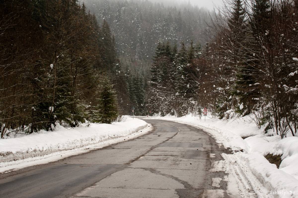 •  Fotó: Gecse Noémi