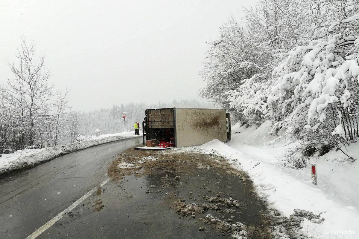 •  Fotó: Pinti Attila