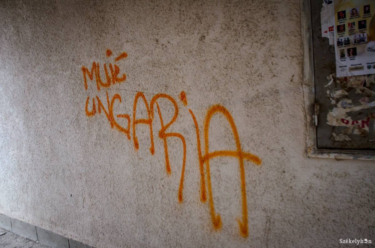 •  Fotó: Gecse Noémi
