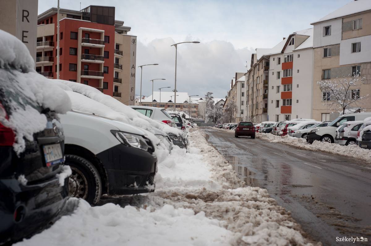 •  Fotó: Gecse Noémi
