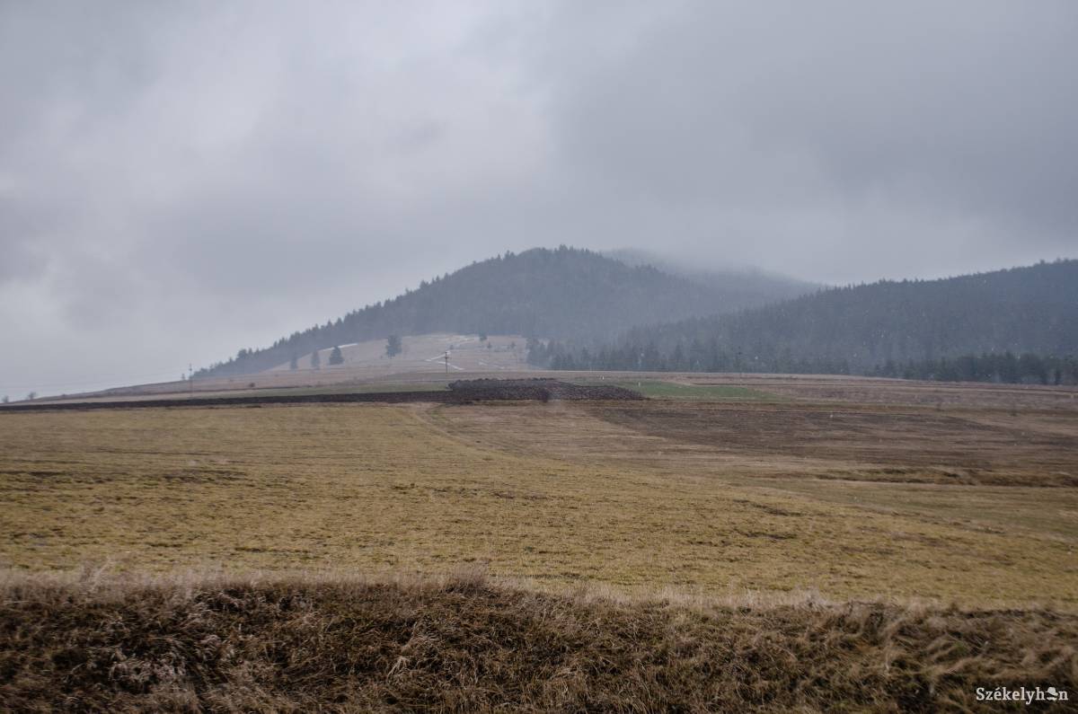 Illusztráció • Fotó: Sándor Csilla