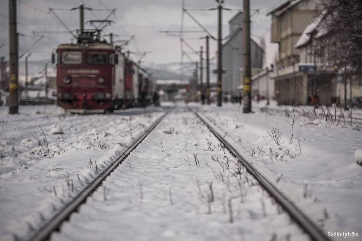 Képünk illusztráció •  Fotó: Pinti Attila