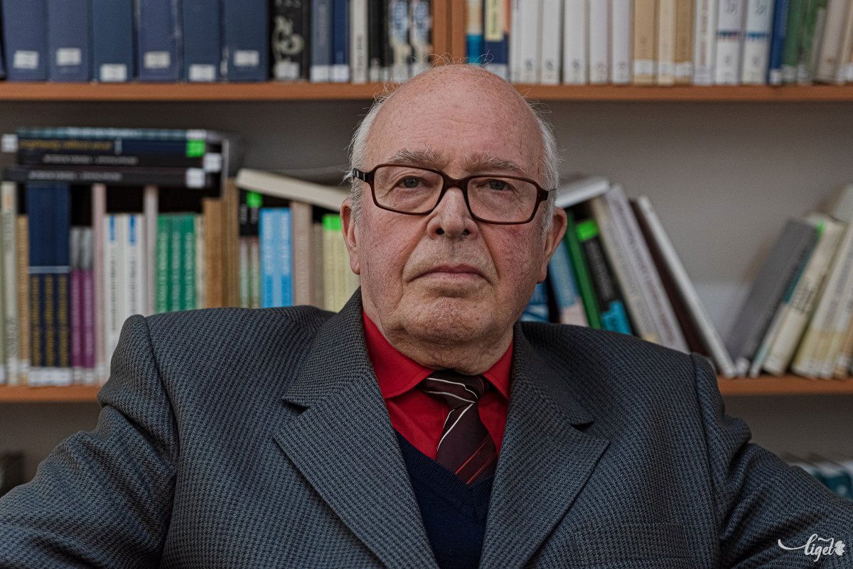 •  Fotó: Gábos Albin