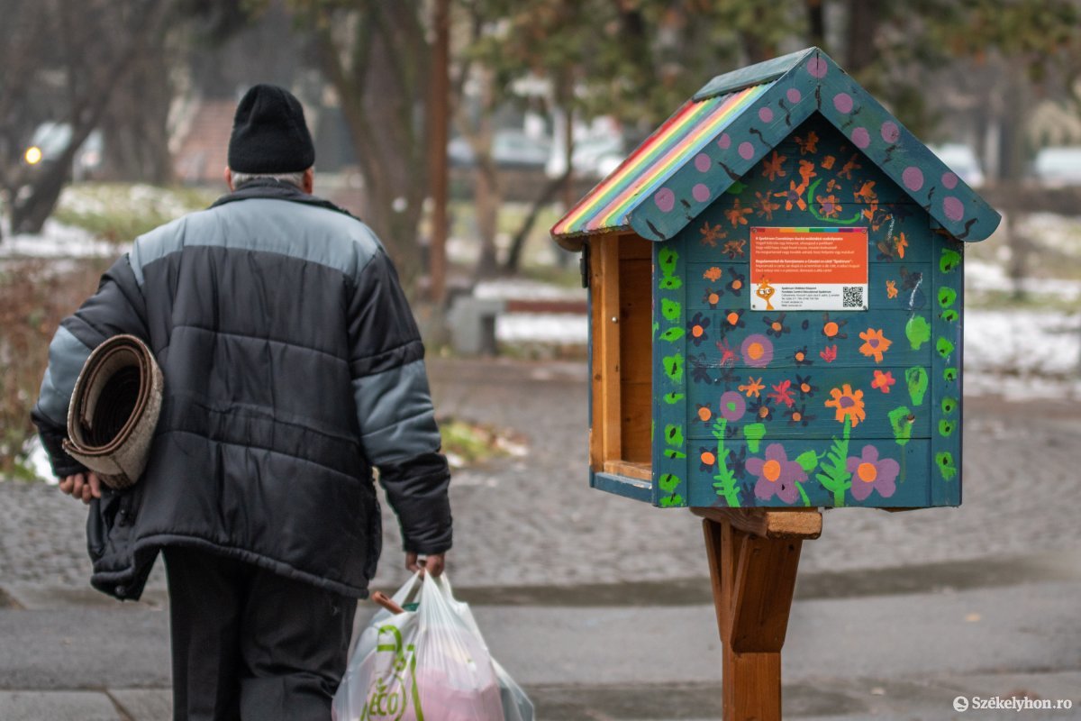 Nem rendeltetésszerűen használják a könyvkuckókat és gyakran megrongálják, ezért el fogják költöztetni azokat •  Fotó: Pinti Attila