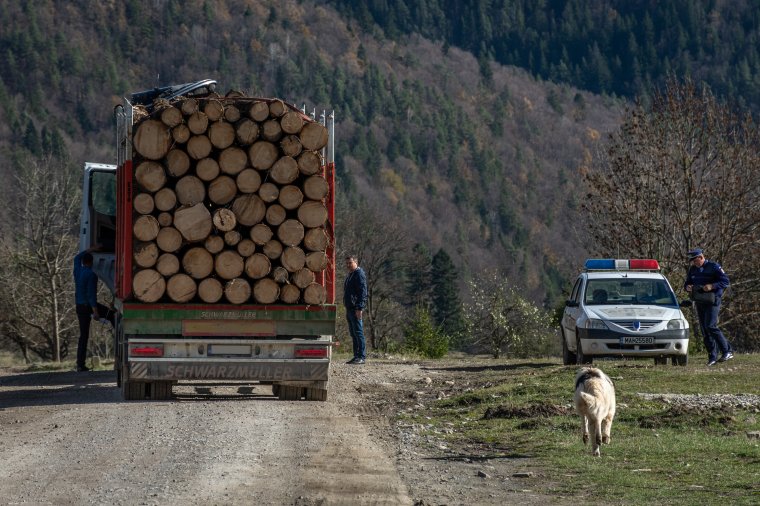 Elszaporodtak a környezetvédelmi bűncselekmények, példát statuálna a szakminiszter