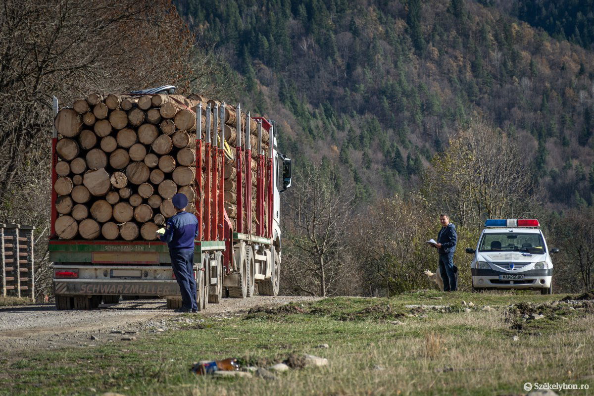 •  Fotó: Pinti Attila