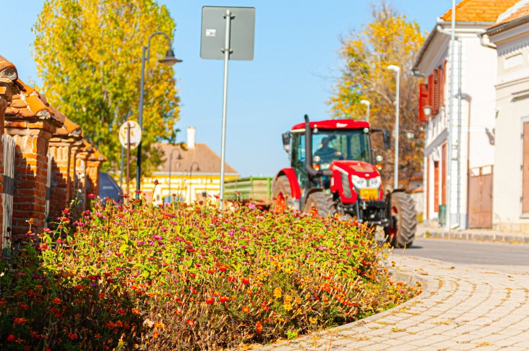 Már nem csak a virágokról szól a környezetszépítő mozgalom