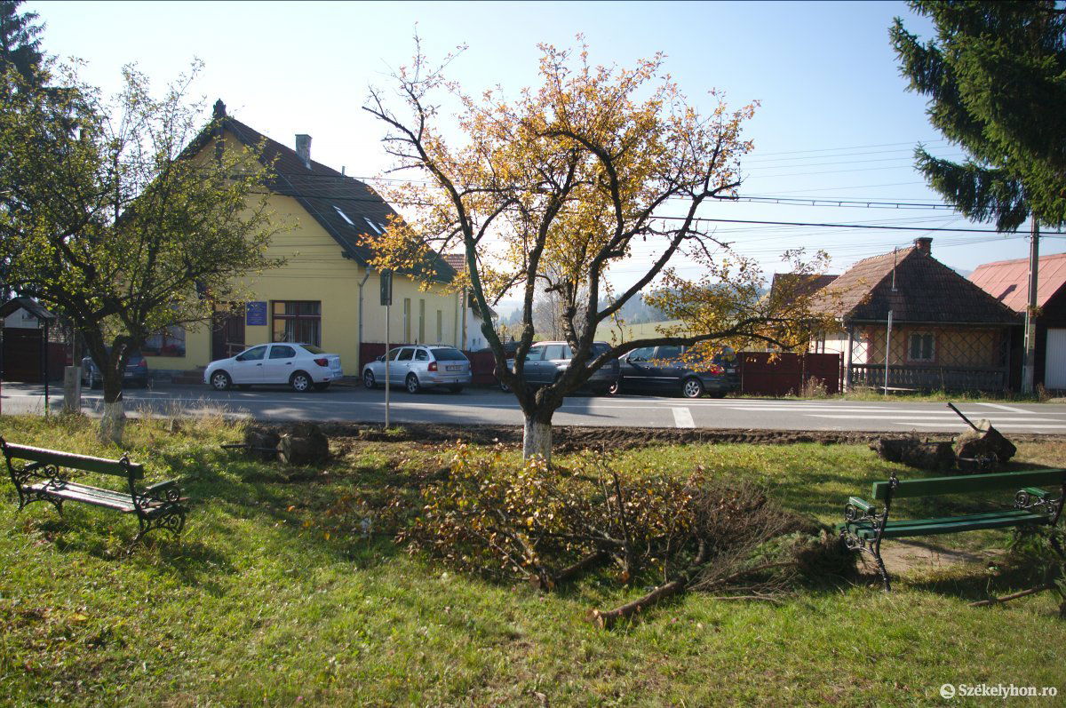 •  Fotó: Gábos Albin