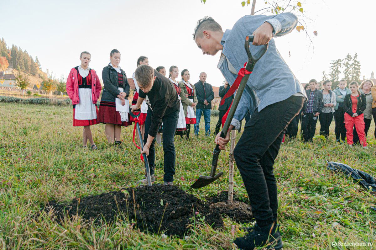 •  Fotó: Gábos Albin