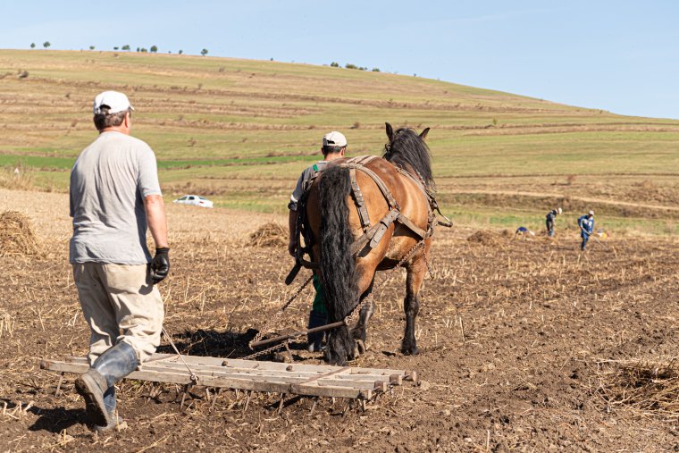 Újra bekerített gazdatelkek