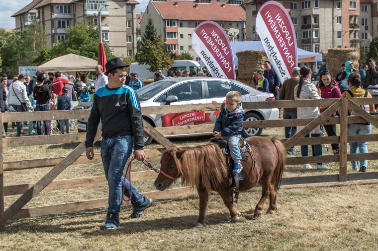 Falu a városban: több százan voltak kíváncsiak a vidéki életérzésre