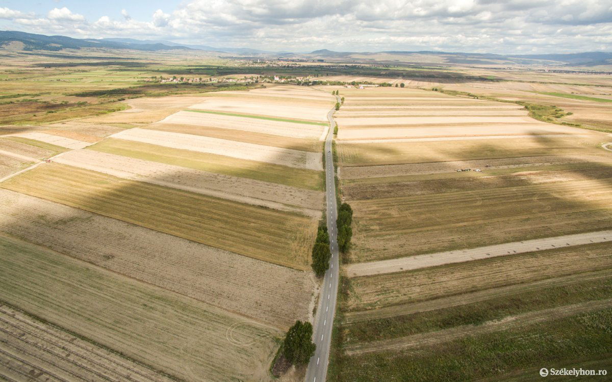 Mindenki megkapja a területalapú támogatást. Ki hamarabb, ki később. Képünk illusztráció •  Fotó: Pinti Attila