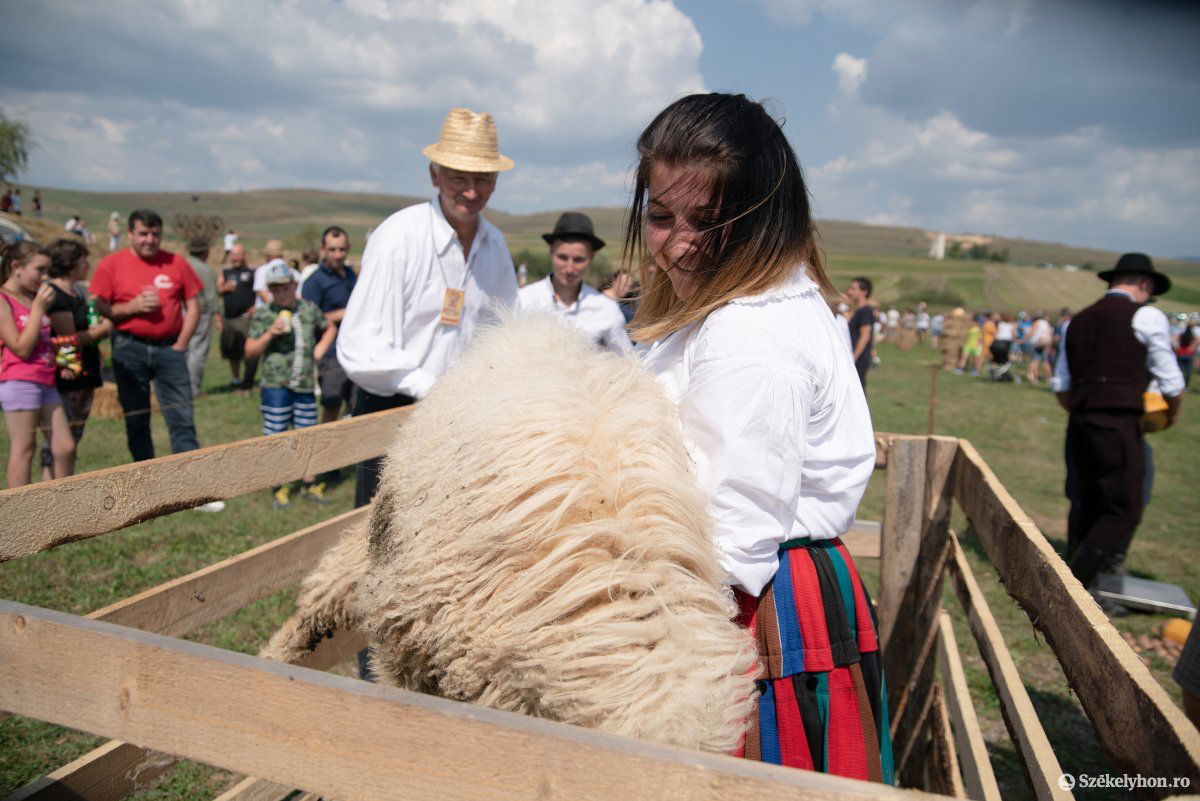 •  Fotó: Gábos Albin