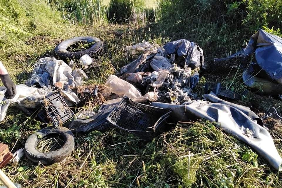 •  Fotó: Pap Jenő