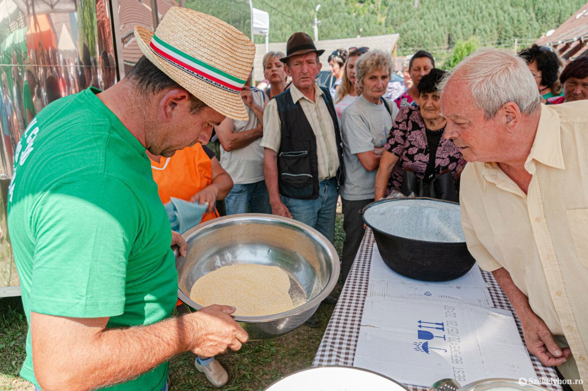 •  Fotó: Gábos Albin