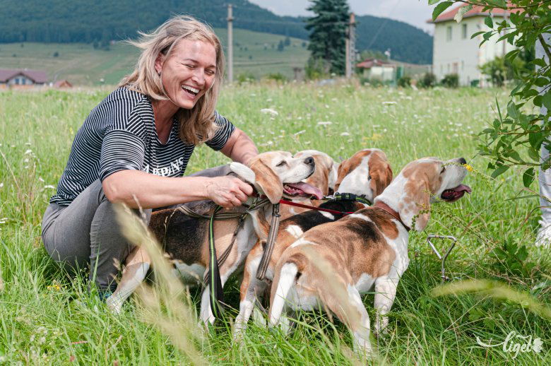 Aki azt szeretné, hogy vidámság meg bohóság legyen körülötte, annak való a beagle •  Fotó: Gábos Albin