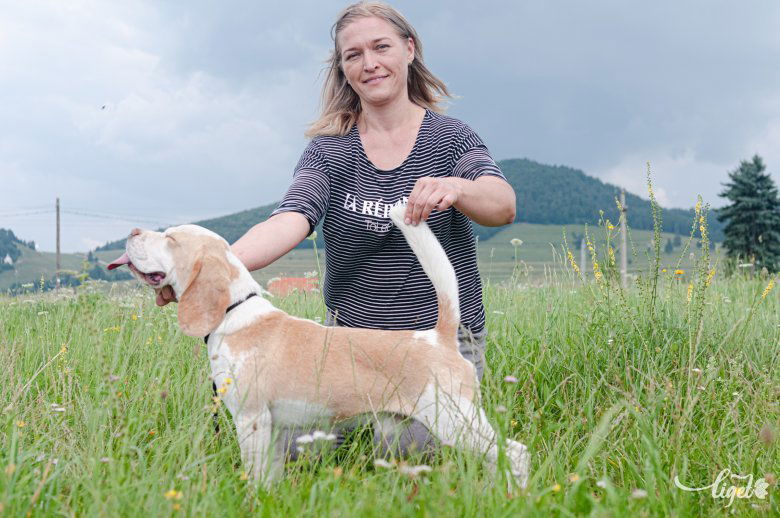 Gegő Katalin kutyatenyésztő, kutyakozmetikus, a csíkszeredai Har Dogs Egyesület elnöke •  Fotó: Gábos Albin
