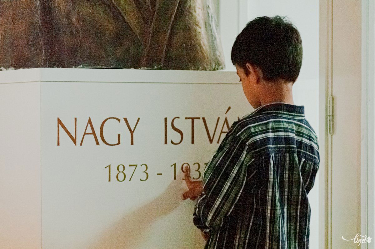 Nagy István festő nevét 1993-ban vette fel az iskola •  Fotó: Gábos Albin
