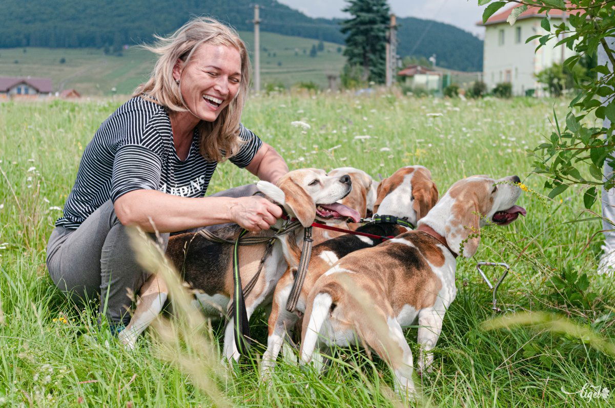 Aki azt szeretné, hogy vidámság meg bohóság legyen körülötte, annak való a beagle •  Fotó: Gábos Albin