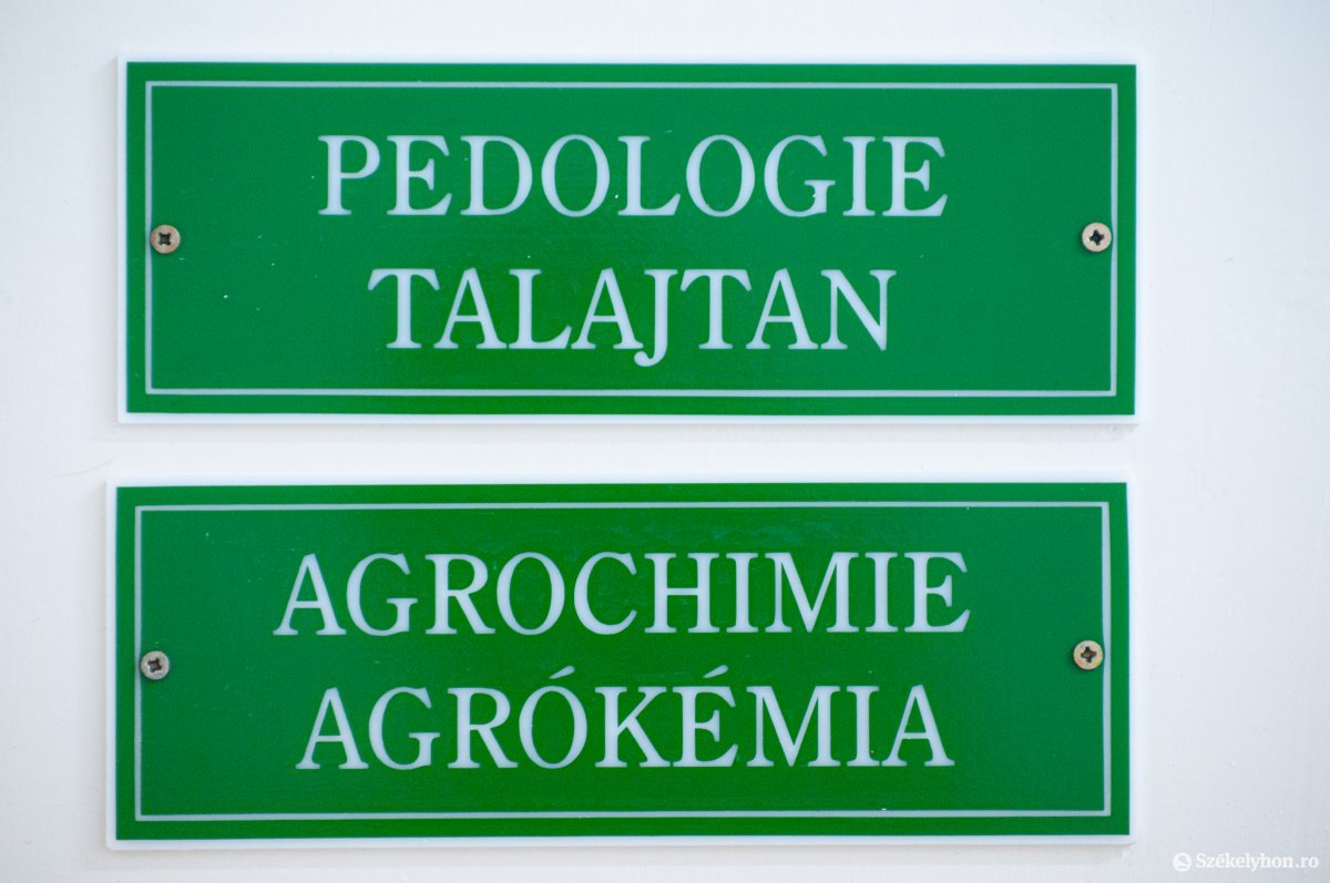 •  Fotó: Gábos Albin