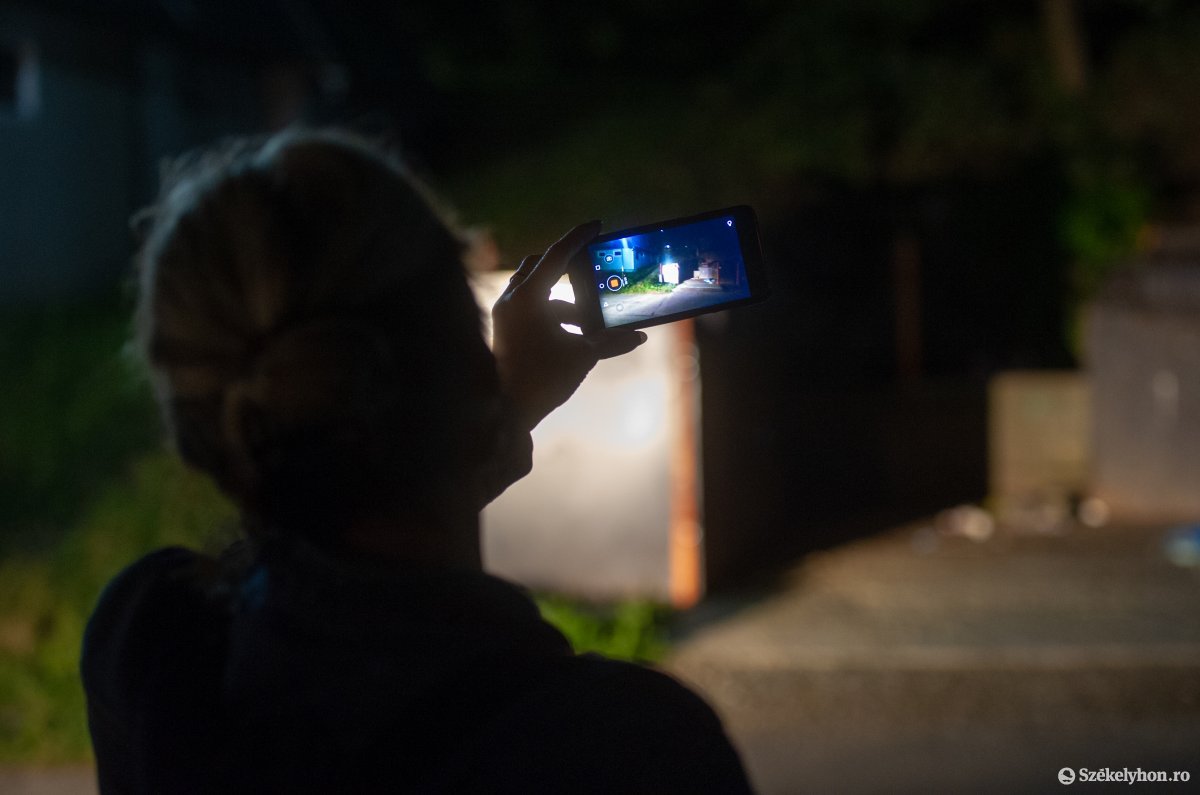 Menetrend szerint. Számos településen mindennapos eseménnyé váltak a medvelátogatások •  Fotó: Beliczay László