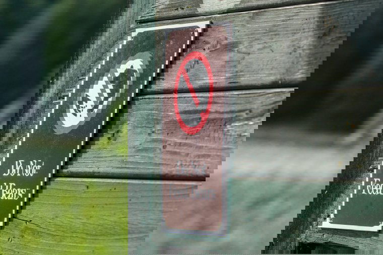 Büntetné a medveetetést a környezetvédelmi miniszter