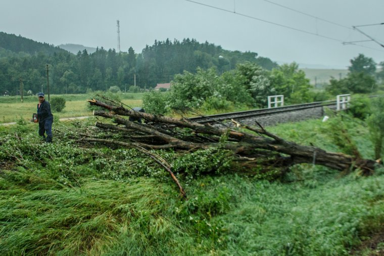 Sínekre zuhant egy fa, várakozni kényszerültek egy vonat utasai