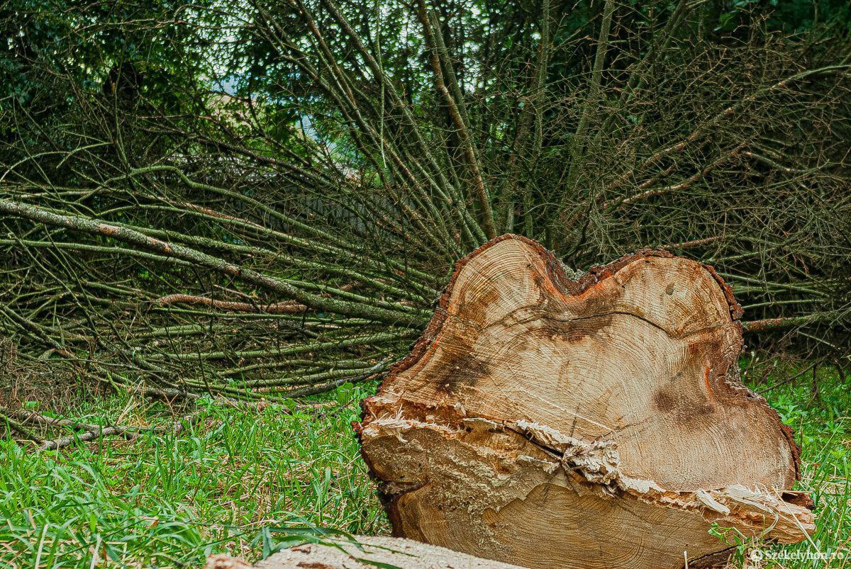 &bullet;  Fotó: Gábos Albin