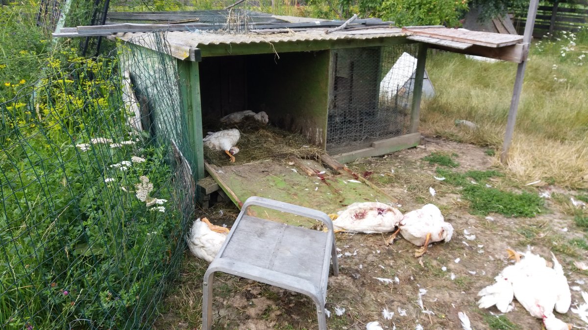 •  Fotó: olvasói felvétel