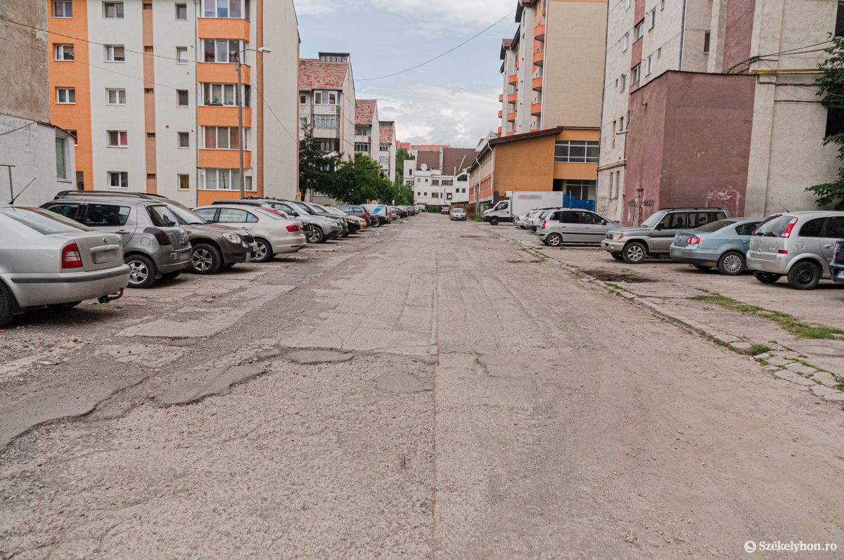 •  Fotó: Gábos Albin