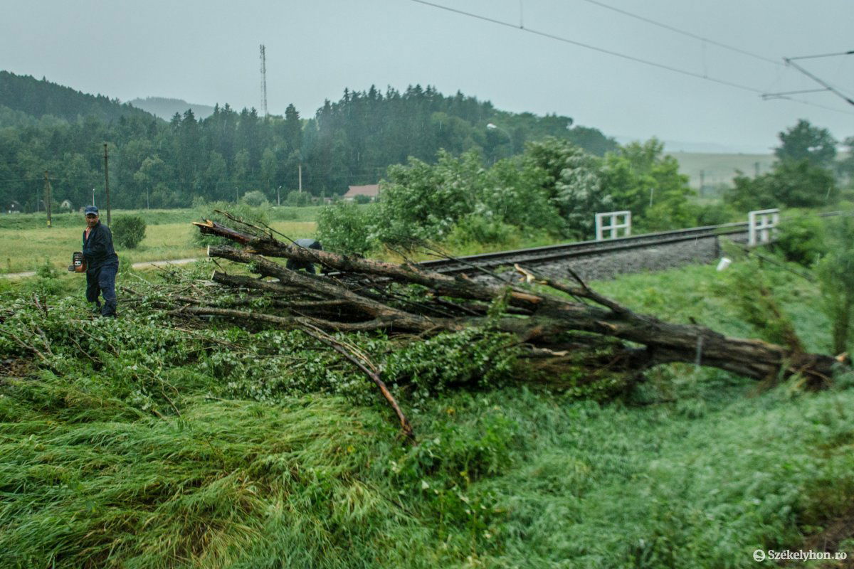 •  Fotó: Pinti Attila