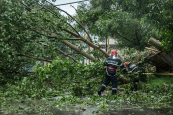 Kidőlt fák akadályozták a forgalmat Borszéken, a Gyilkos-tónál és Palotailván