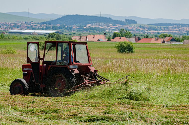 Nagyon megdrágult a széna, sokan inkább eladják az állataikat