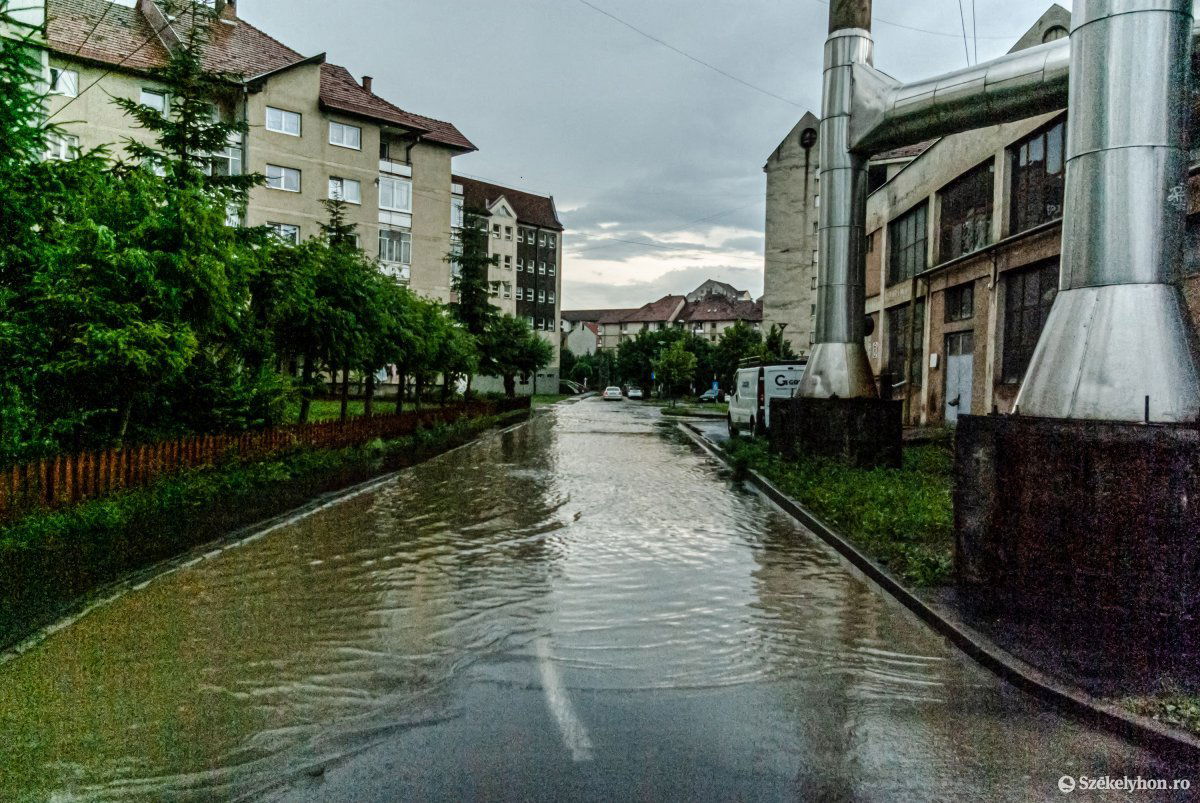 •  Fotó: Gábos Albin