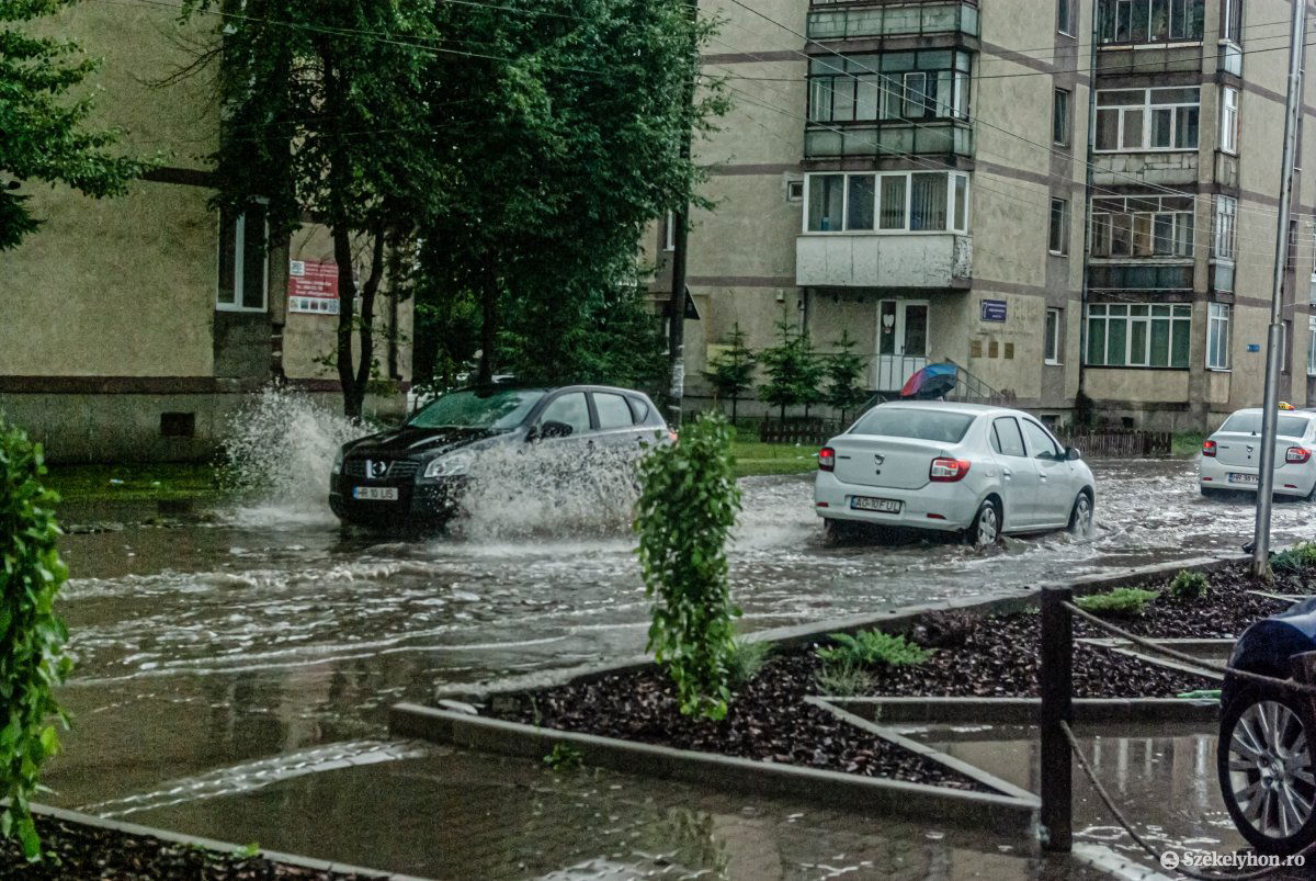 •  Fotó: Gábos Albin