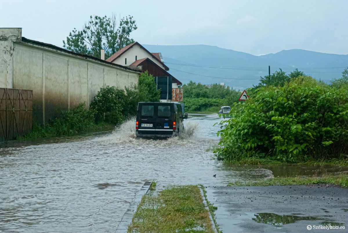 Képünk illusztráció •  Fotó: Gábos Albin