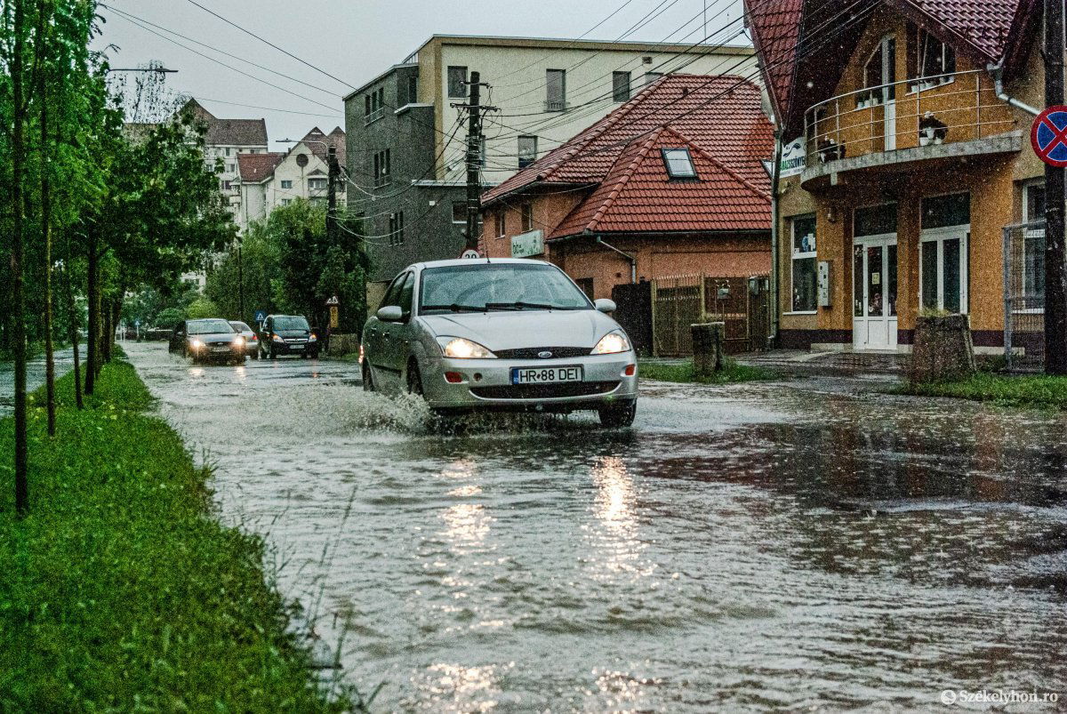 •  Fotó: Gábos Albin