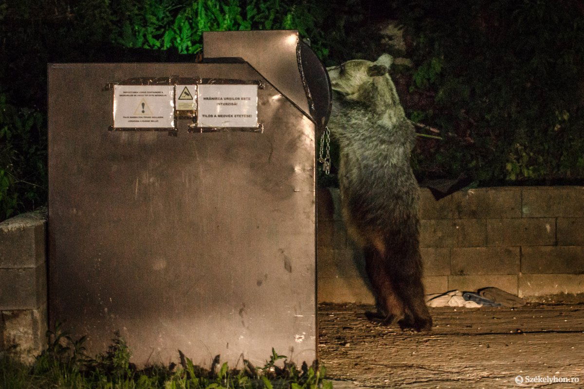 •  Fotó: Pinti Attila