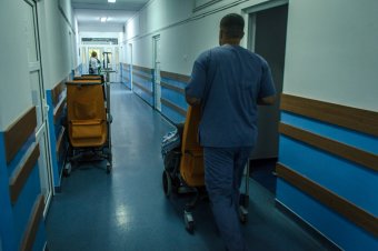 Meghalt egy, a bihari menhelybotrány után Maros megyébe áthelyezett gondozott