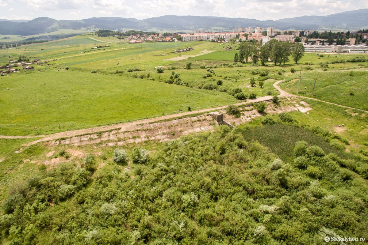 Az egykori Suta-tó helyét most sűrű növényzet foglalja el. A helyreállítás nem marad el az ígéretek szerint •  Fotó: Pinti Attila