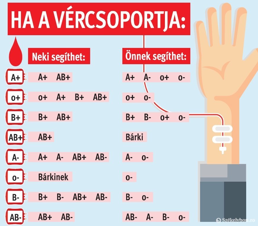 Véradáskor 4,2 deciliter vért, valamint a vér vizsgálatához szükséges néhány kémcsőnyi mennyiséget vesznek le • Infografika: Tóth Szilárd 