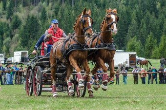 Alcsíki lovasnapot tartanak vasárnap