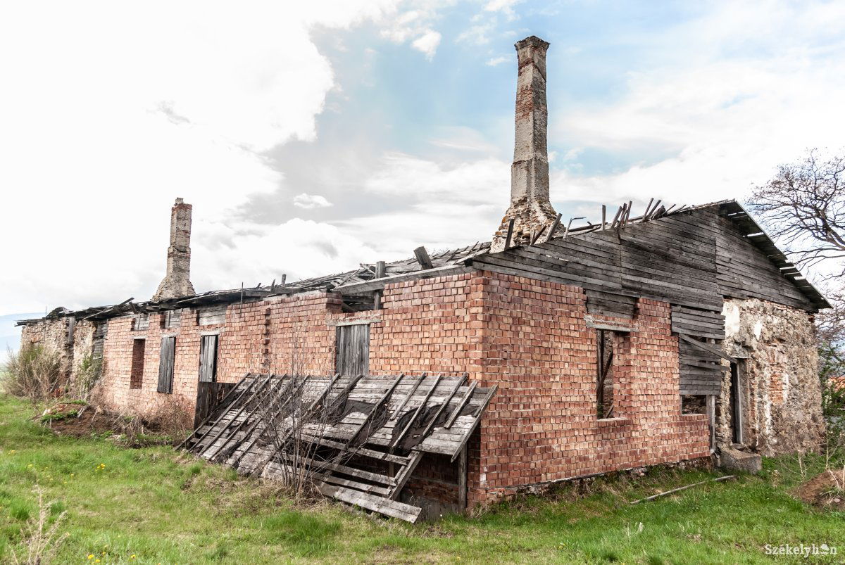 •  Fotó: Gábos Albin