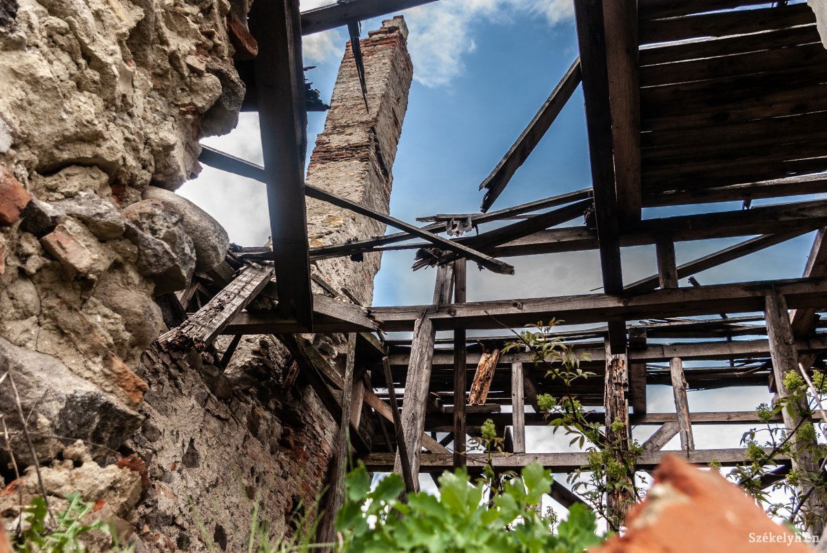 •  Fotó: Gábos Albin