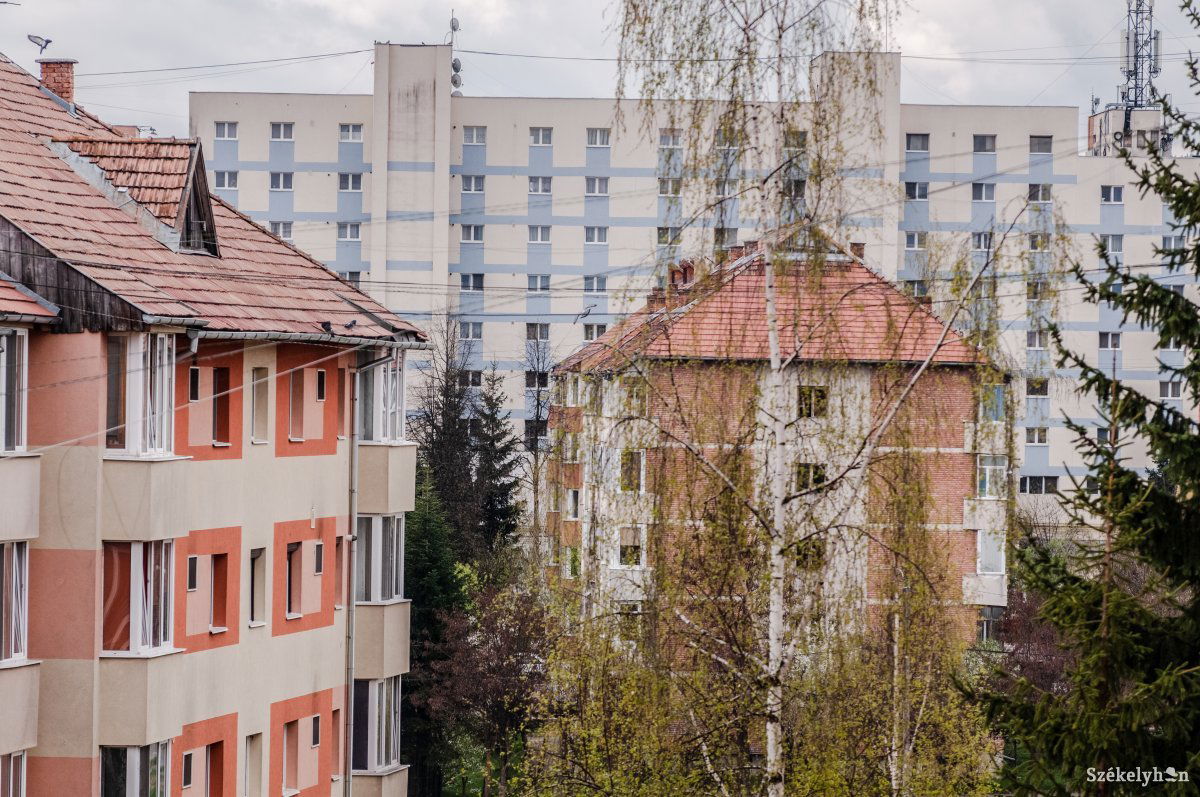 Képünk illusztráció •  Fotó: Gábos Albin