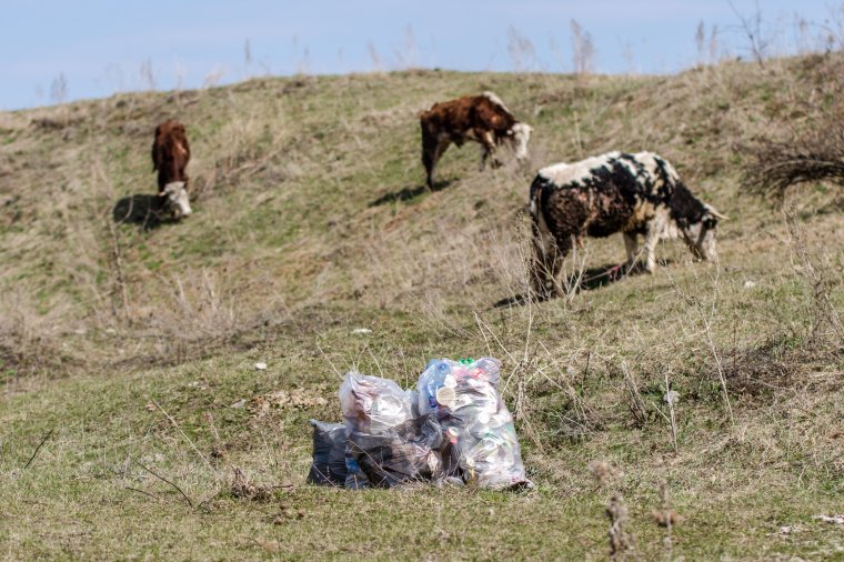 Lehet szemetelni bátran, majd a gyerekek úgyis összeszedik