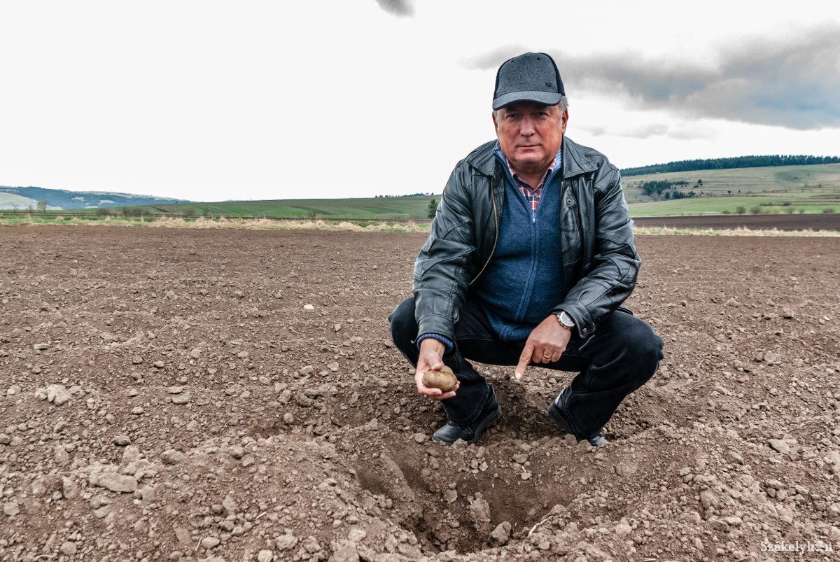 •  Fotó: Gábos Albin