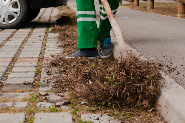 Megvan, hogy mikor szállítják el a zöld hulladékot Székelyudvarhelyen